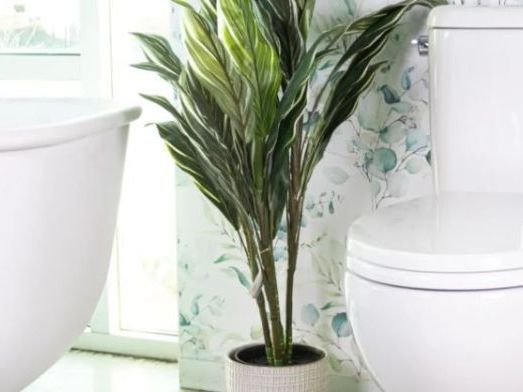 upgrade-to-smart-and-water-efficient-bathrooms-with-caroma