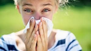 pollens-count-big-0