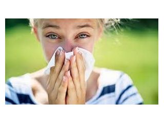 pollens-count-small-0
