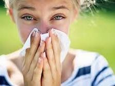 pollens-count