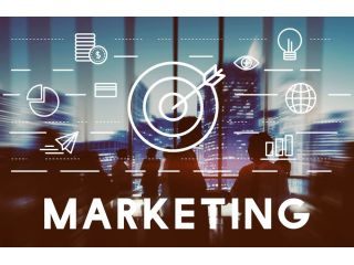 seo-services-in-san-jose-improve-rankings-small-0