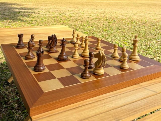 shop-the-best-chess-pro-electronic-board-online-chessnut