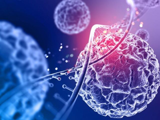 acesso-biologics-amniotic-wound-care-products