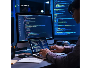 top-software-development-services-in-dubai-code-brew-labs-small-0