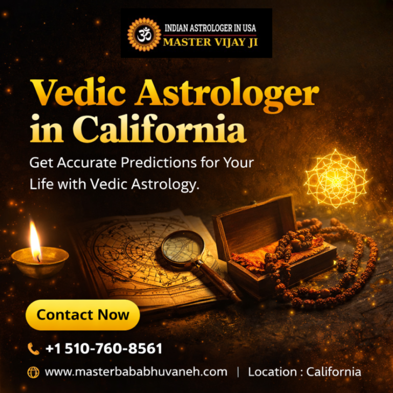 best-vedic-astrologer-in-california-big-0