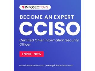 cciso-training-course-program-small-0