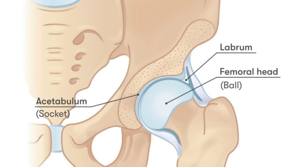 acupuncture-for-hip-pain-big-0