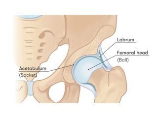 acupuncture-for-hip-pain-small-0