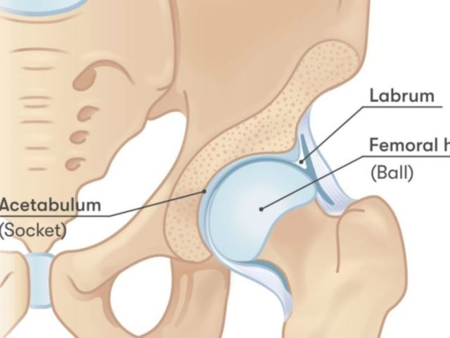 acupuncture-for-hip-pain