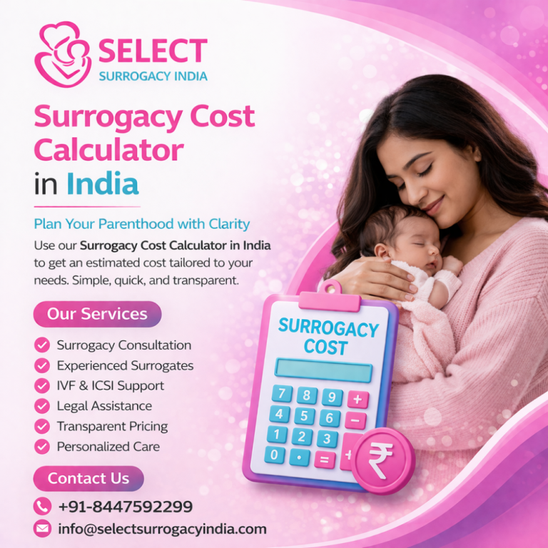 surrogacy-cost-calculator-big-0