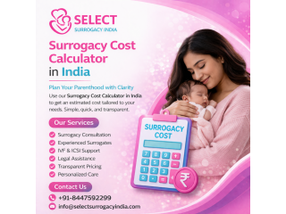 surrogacy-cost-calculator-small-0