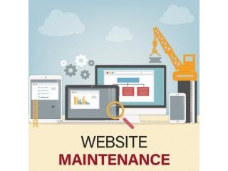 reliable-white-label-website-maintenance-in-the-usa-small-0