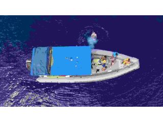captain-cook-hawaii-snorkeling-small-0