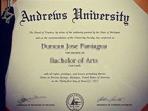 official-diploma-appearance-professional-certificate-design