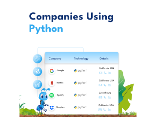 companies-using-python-for-developer-targeting-small-0