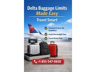 delta-baggage-limits-made-easy-travel-smart-small-0