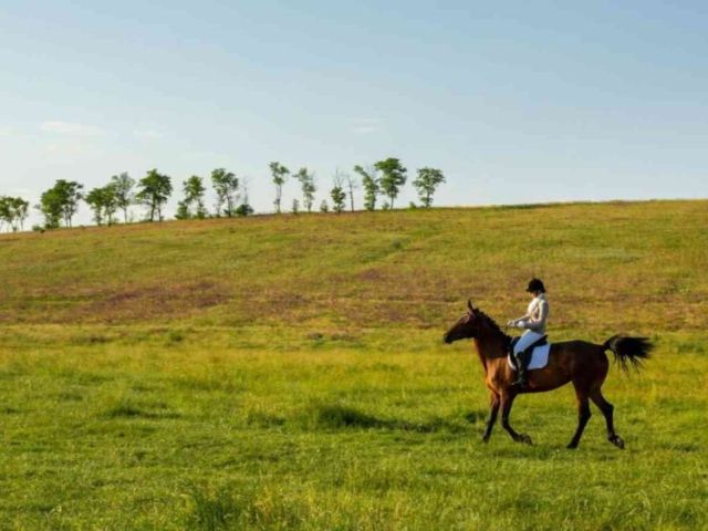 enjoy-horseback-riding-in-manzanita-near-coastal-vacation-rentals