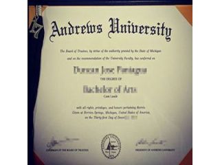 troy-university-diploma-sample-academic-layout-small-0