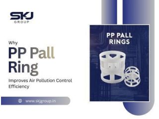 pp-pall-rings-for-industrial-tower-packing-small-0
