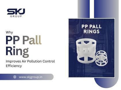 pp-pall-rings-for-industrial-tower-packing