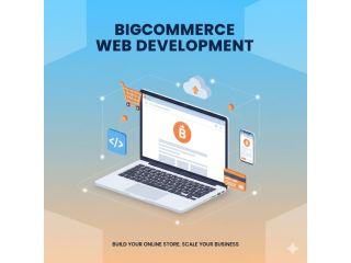 building-web-solutions-with-web-development-kansas-city-small-0