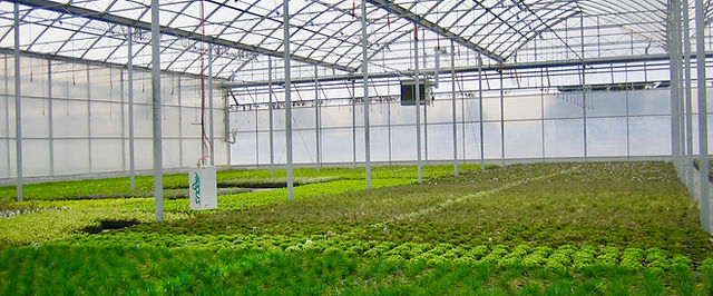 greenhouse-supplies-big-0