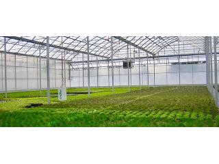 greenhouse-supplies-small-0