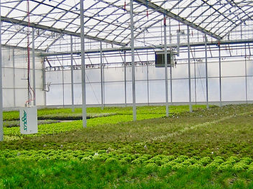 greenhouse-supplies