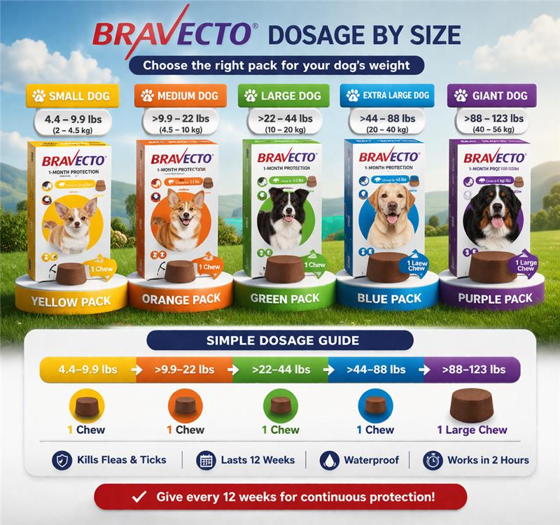 bravecto-chewable-for-dogs-get-20-off-free-shipping-big-0