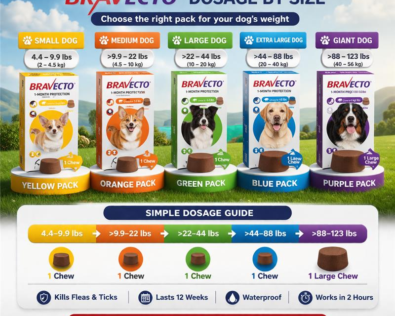 bravecto-chewable-for-dogs-get-20-off-free-shipping