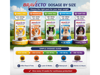 bravecto-chewable-for-dogs-get-20-off-free-shipping-small-0