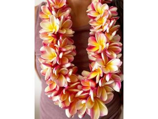 lei-greeting-service-hawaii-small-0