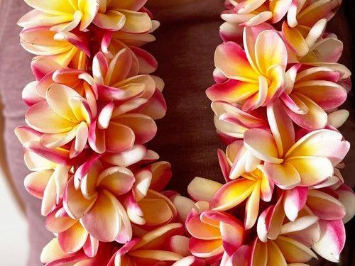 lei-greeting-service-hawaii