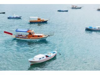 the-complete-guide-to-islamorada-fishing-charters-small-0