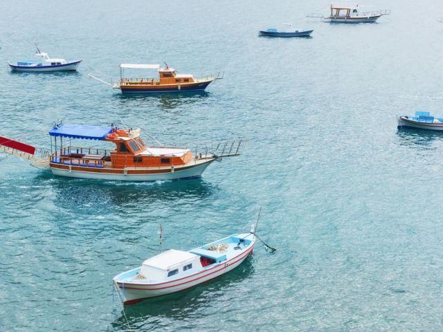 the-complete-guide-to-islamorada-fishing-charters