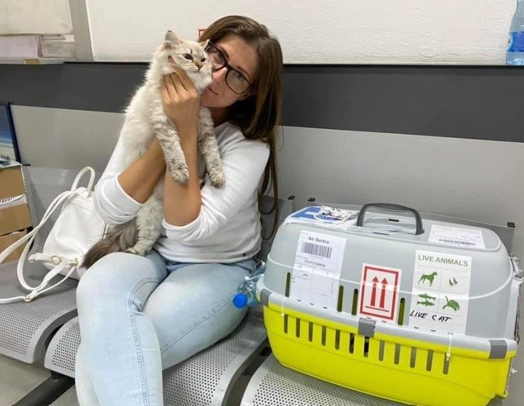 healthy-siberian-kittens-for-sale-big-0