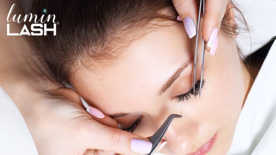 elevate-your-beauty-with-premium-lashes-missouri-city-big-0
