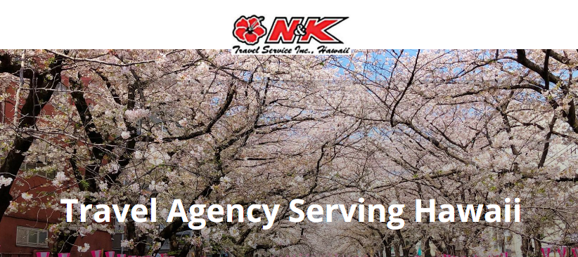 global-travel-assistance-services-by-n-k-travel-big-0