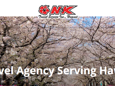 global-travel-assistance-services-by-n-k-travel