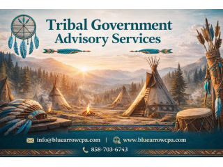 specialized-tribal-government-advisory-services-small-0