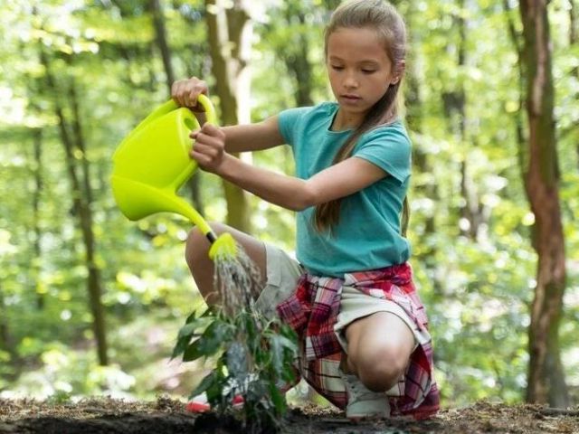 nature-preschools-in-portland-nature-based-preschools-daycare