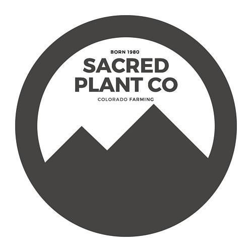 herbs-that-cleanse-the-body-sacred-plant-co-big-0