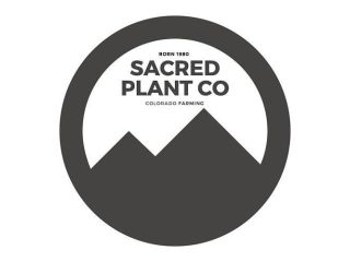 herbs-that-cleanse-the-body-sacred-plant-co-small-0