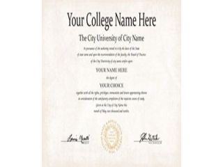 academic-diploma-structure-professional-layout-small-0