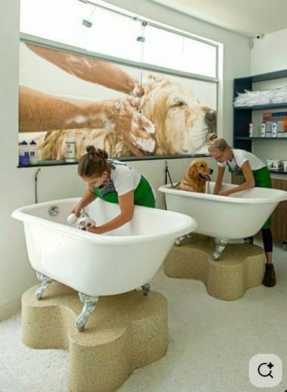 trusted-winter-park-pet-grooming-experts-care-big-0