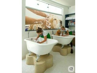 trusted-winter-park-pet-grooming-experts-care-small-0