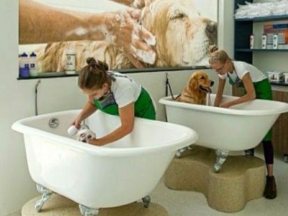 trusted-winter-park-pet-grooming-experts-care