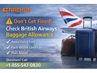 dont-get-fined-check-british-airways-baggage-allowance-small-0