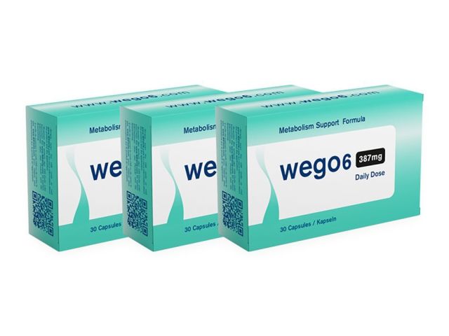 wego-6-hohle-der-lowen-weniger-hunger-mehr-energie-im-alltag
