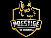 family-protection-dogs-for-sale-prestige-protection-dogs